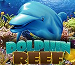 DolphinReef