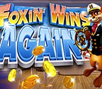 Foxin_wins_Again