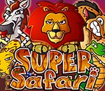 Super_Safari