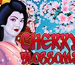 cherry_blossoms